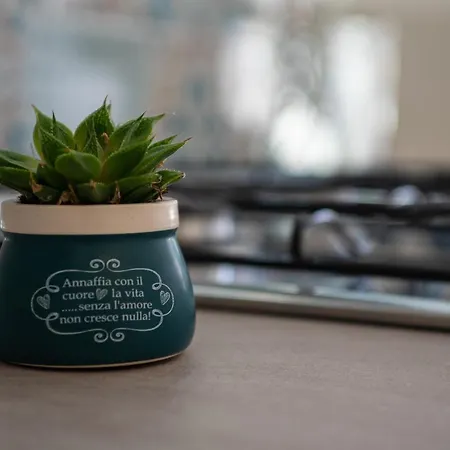 - Grecale & Vinile By Diddoi Apartment *